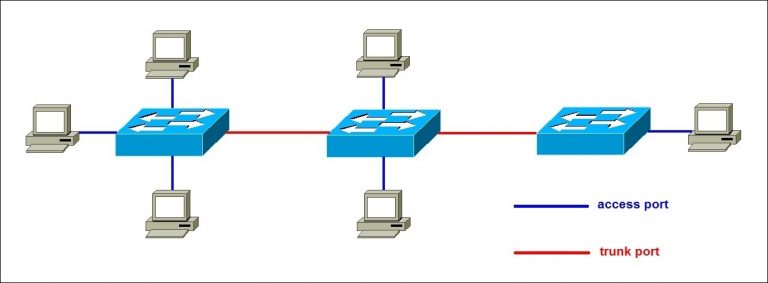 Access and trunk ports